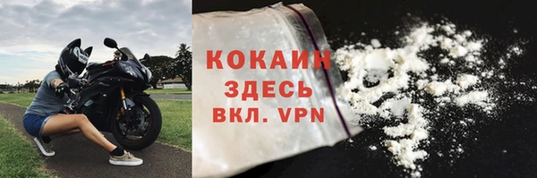 стаф Аркадак