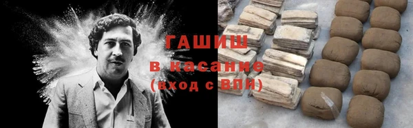 стаф Аркадак