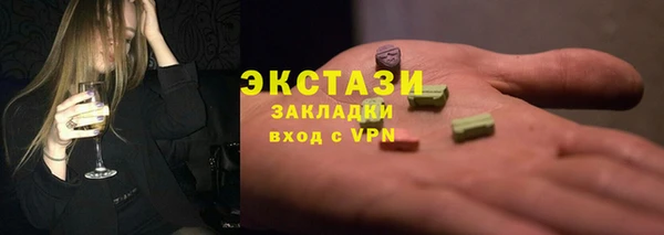 стаф Аркадак