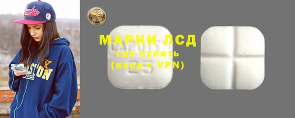 стаф Аркадак
