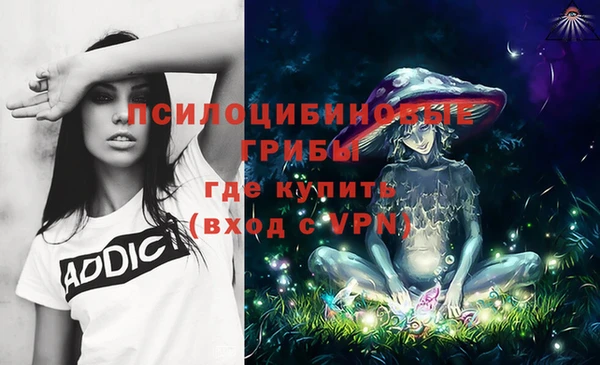 стаф Аркадак