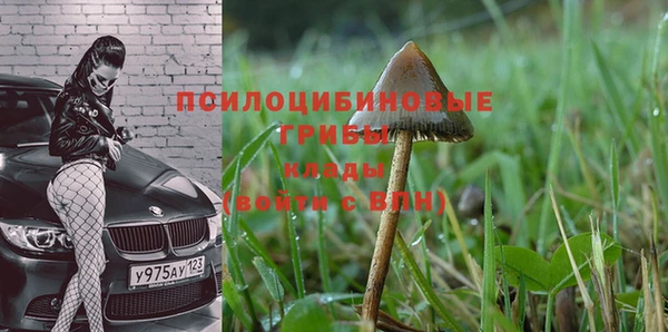 скорость mdpv Алзамай