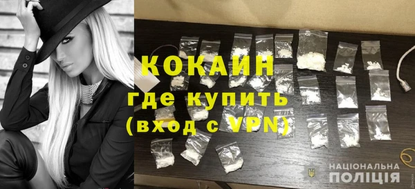 стаф Аркадак