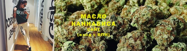 соль ск Новозыбков