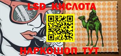 2c-b Камышлов