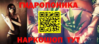 2c-b Камышлов